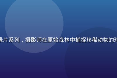 精品视频推荐：自然纪录片系列，摄影师在原始森林中捕捉珍稀动物的珍贵镜头，光线柔和静谧